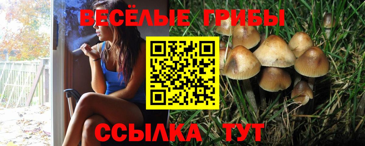 Псилоцибиновые грибы Magic Shrooms Новоуральск