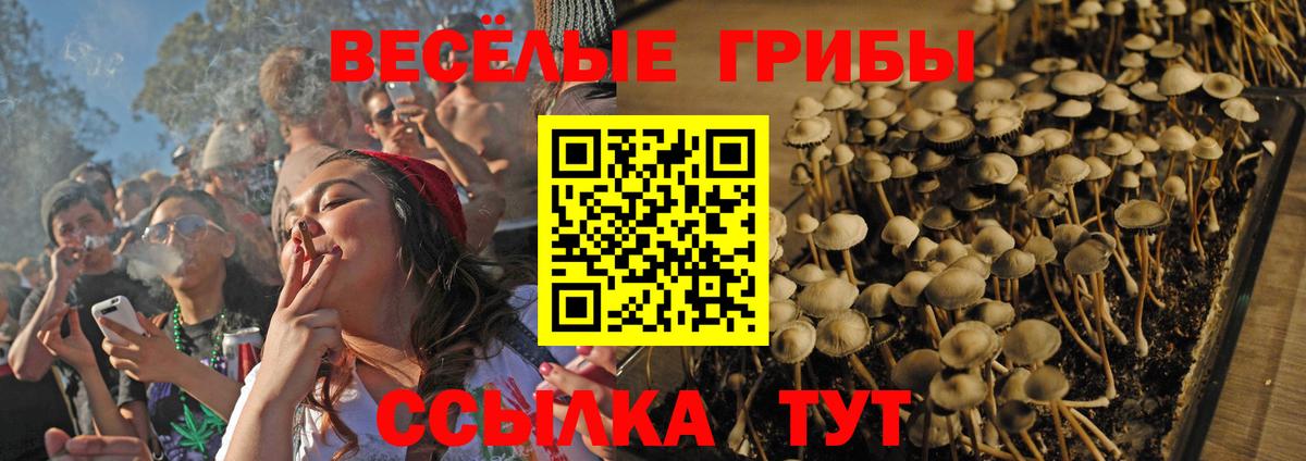 Псилоцибиновые грибы Magic Shrooms  Вход с VPN  Новоуральск 